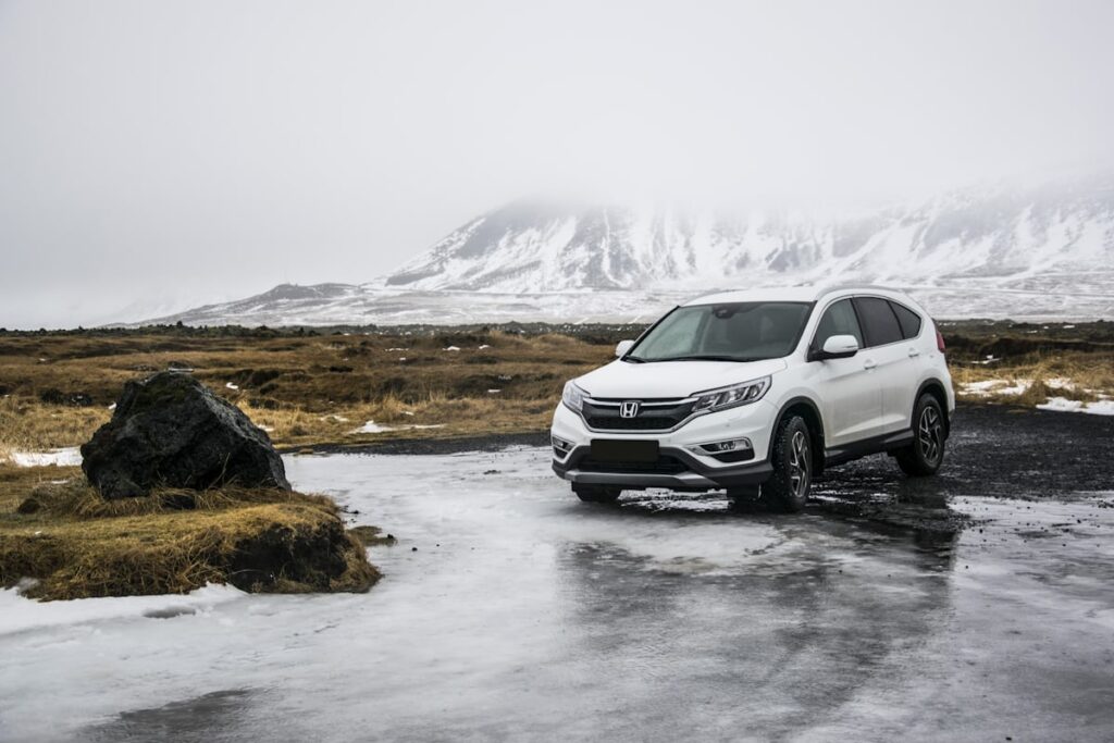 Car rental search 