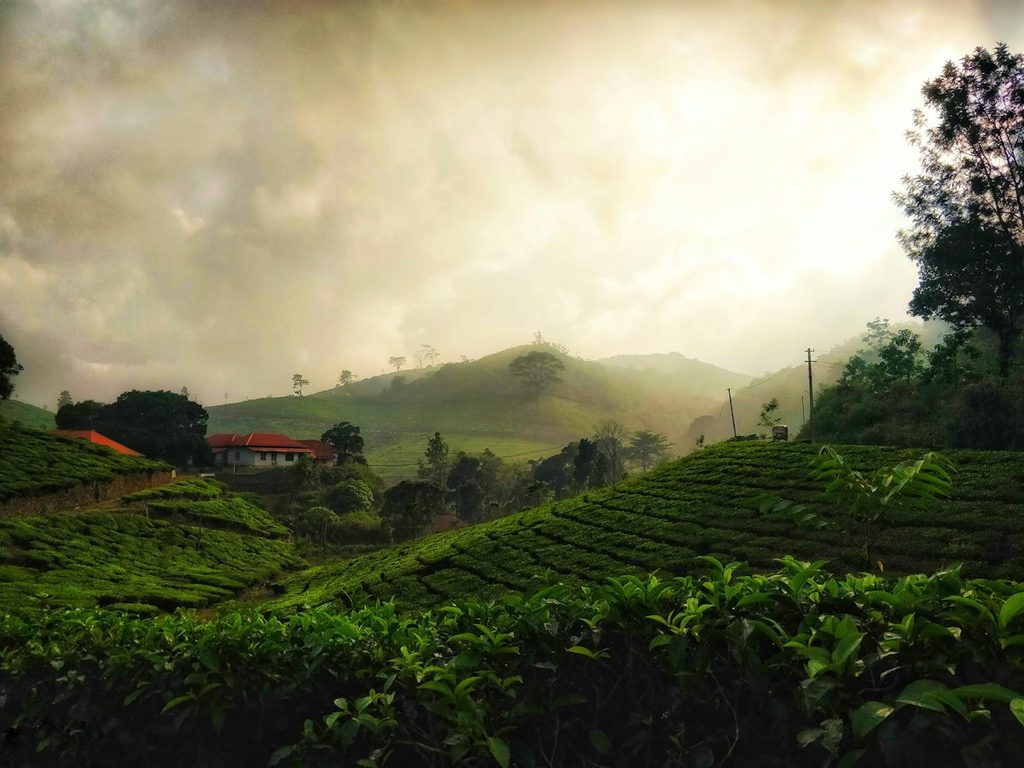 Kerala India 