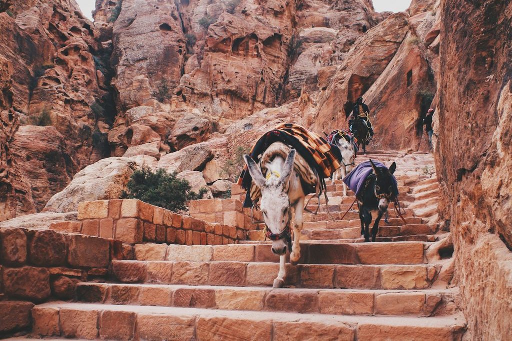 Wadi Musa In Jordan