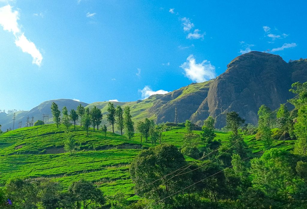Kerala beautiful landscape