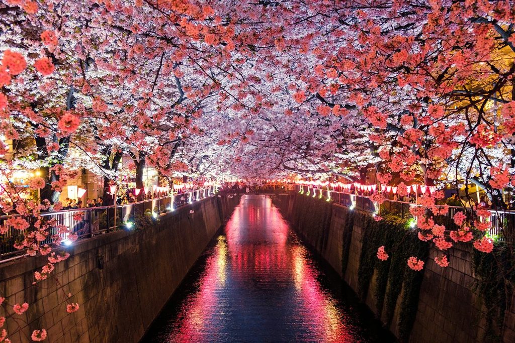Beautiful Tokyo in November 
